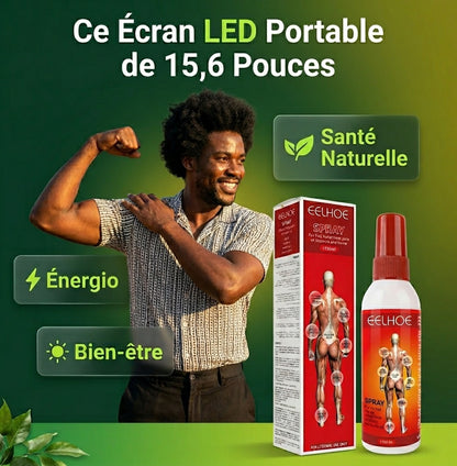 Ce Écran LED Portable de 15,6 Pouces avec Réseau et Haut-Parleur Intégré offre un rapport qualité-prix imbattable pour un usage quotidien